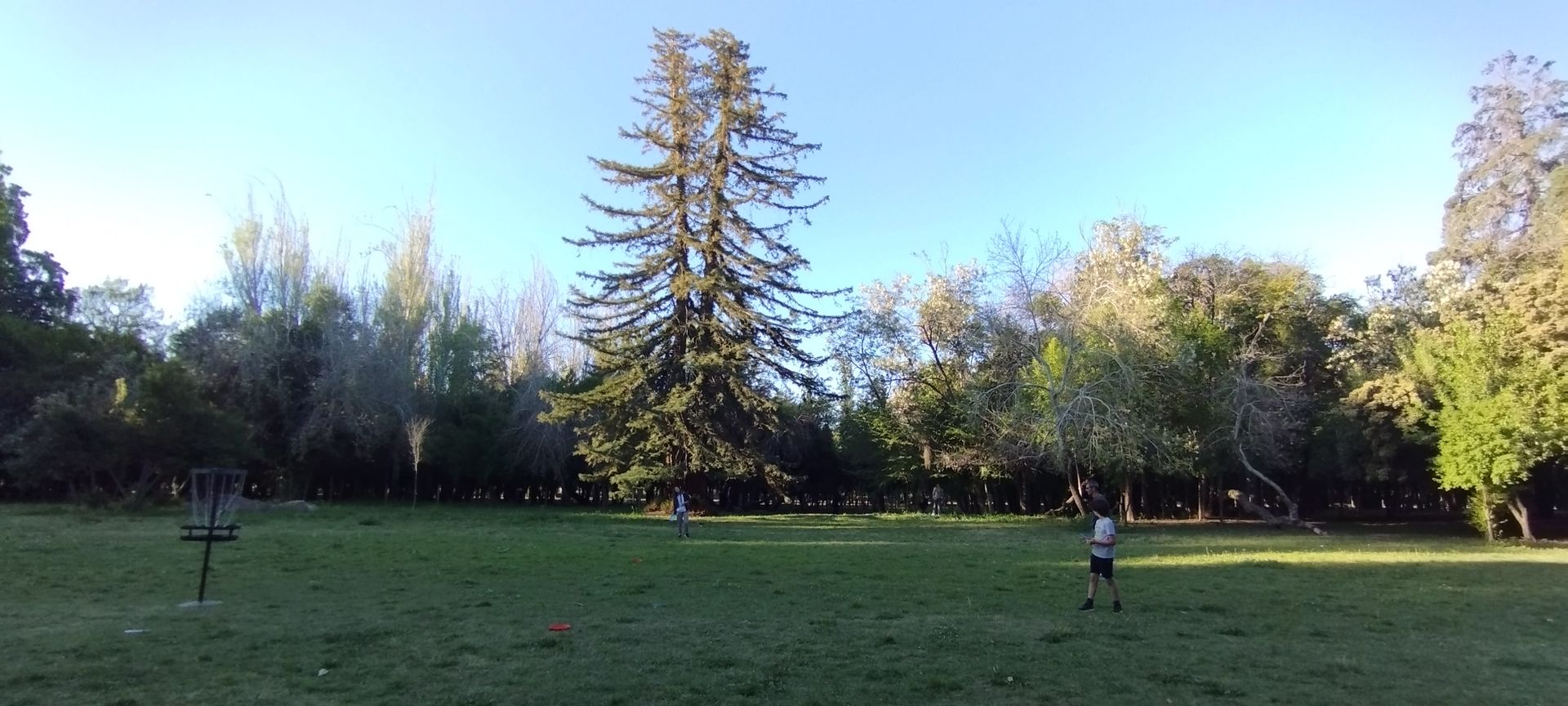 secuoya disc golf mendoza