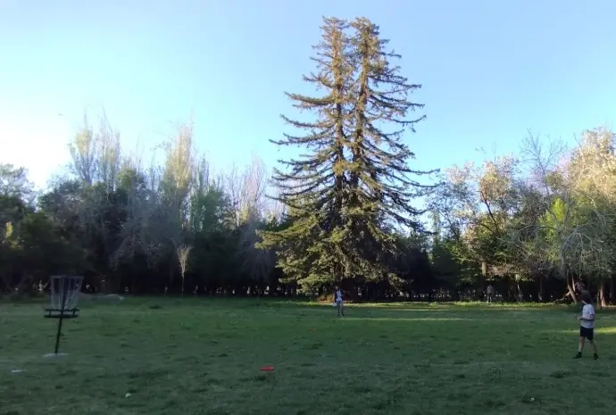 secuoya disc golf mendoza