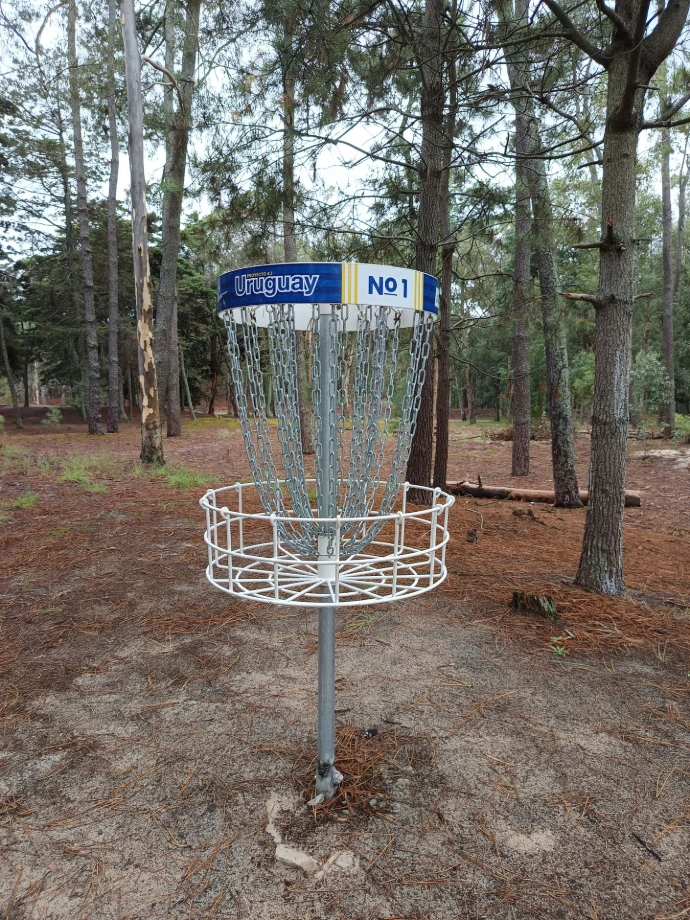 Canasta en el Parque Roosevelt