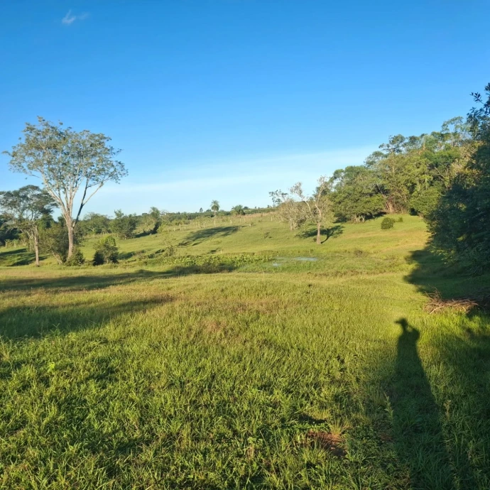 El Toro Disc Golf